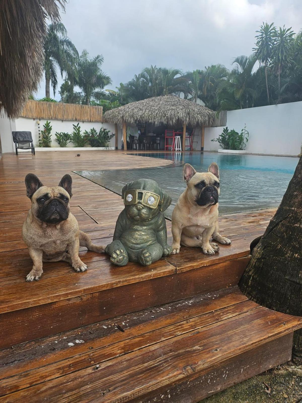 La Casita Chambre Individuelle Las Terrenas Luaran gambar